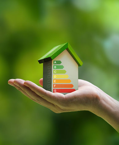 stamex expert location vente efficacite energetique